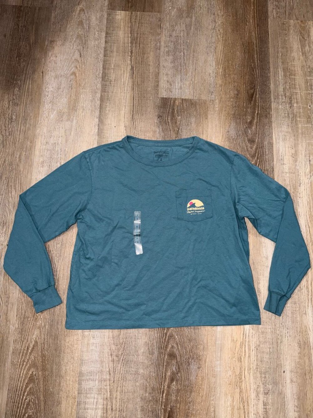 Patagonia Applied Imagination Women's Small Pocket Tee Wetland Blue 100% Organic